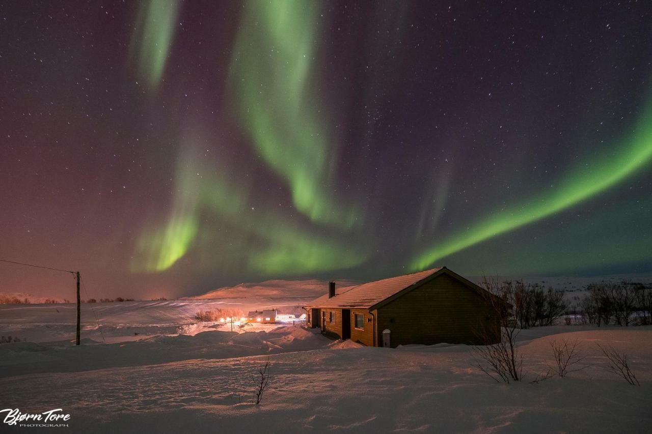 Luksushytte I Kokelv Esterno foto